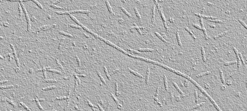 Nanorods
