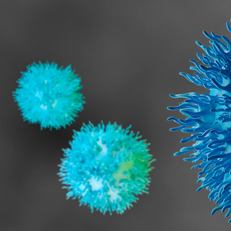 World's largest living tumor bank